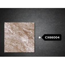Goodwill Floor Tiles 600x600mm GX66004