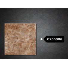 Goodwill Floor Tiles 600x600mm GX66006