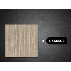 Goodwill Floor Tiles 600x600mm GX66502