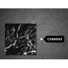 Goodwill Floor Tiles 600x600mm GX66503