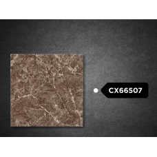 Goodwill Floor Tiles 600x600mm GX66507
