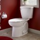 Toilets and Accessories