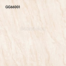 Goodwill Floor Tiles 600x600mm GG66001
