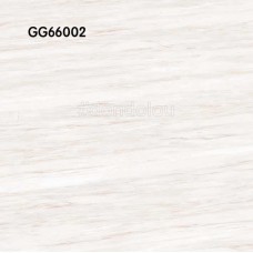 Goodwill Floor Tiles 600x600mm GG66002
