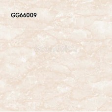 Goodwill Floor Tiles 600x600mm GG66009