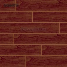Goodwill Floor Tiles 600x600mm GG66013