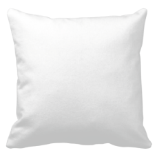Plush Pillow 40x40cm